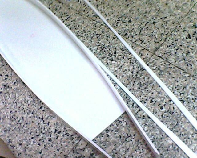 IMG2850A.jpg
