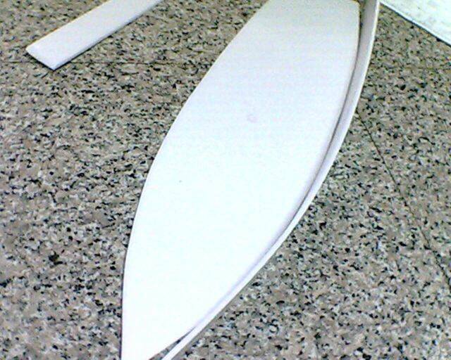 IMG2849A.jpg