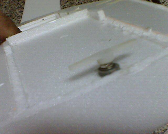 IMG2875A.jpg