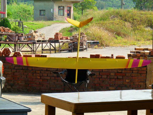 P1000859.jpg