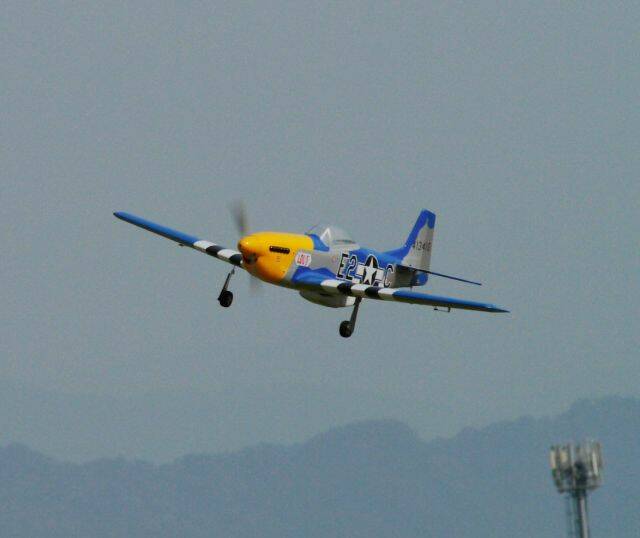 p51.jpg
