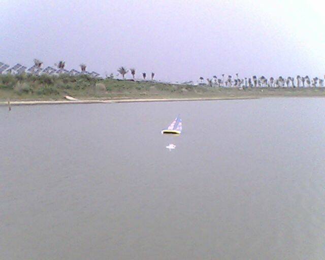 IMG2919A.jpg