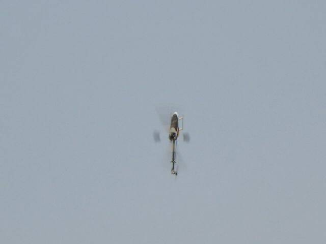 DSCN0845-8.jpg
