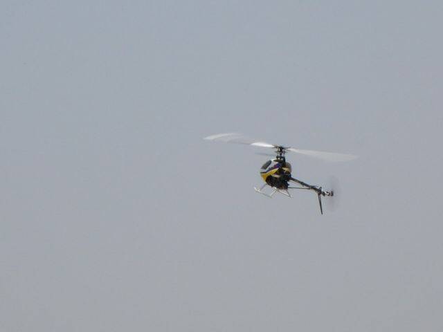 DSCN0842-6.jpg