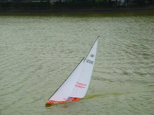 DSC01021-1.jpg