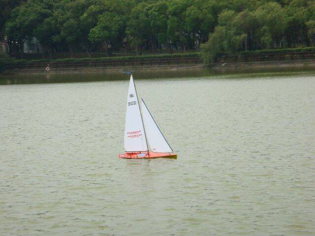 DSC01014-1.jpg