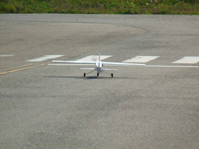 P1010081.jpg