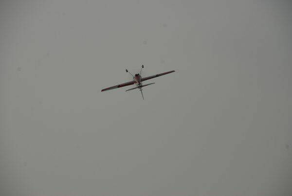 m_DSC_0056.jpg