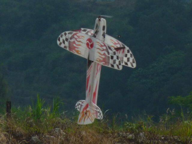 P1010209.jpg