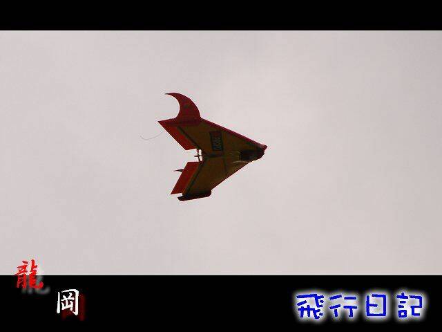 DSC_9560.jpg
