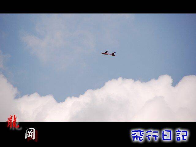 DSC_9569.jpg