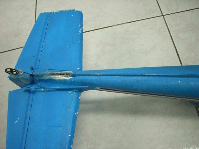 機腹家碳棒.JPG