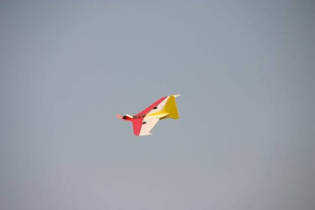 IMG_6423.JPG