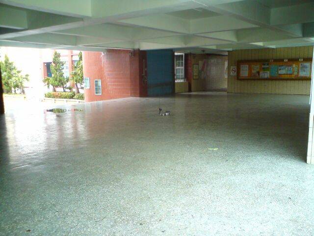 005.JPG