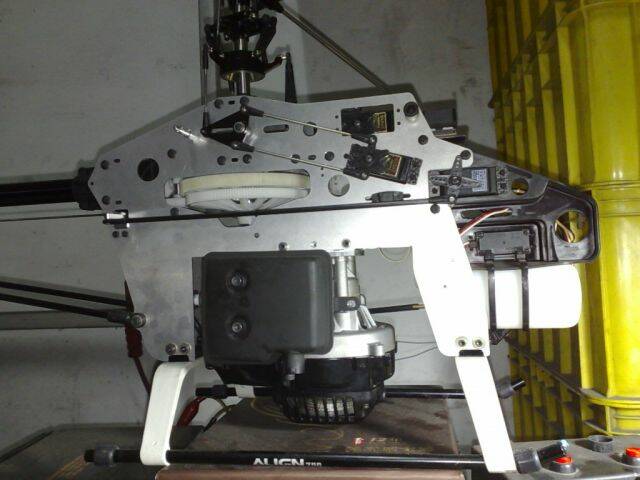 20090621227.jpg