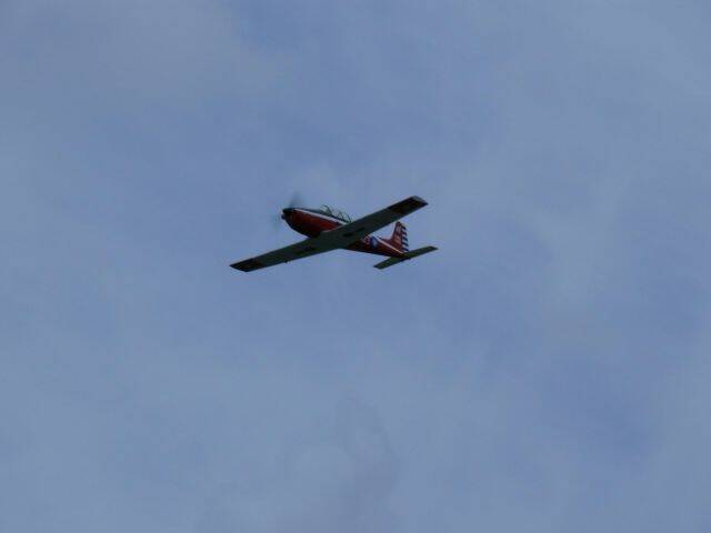 L1000276-1.JPG