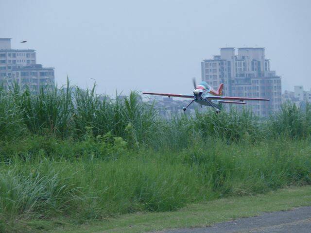 L1000369-1.JPG