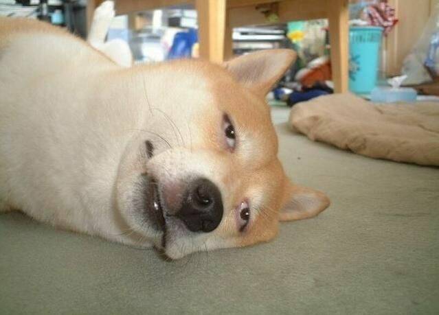 噴輪胎時.......(朋友 )狂笑...