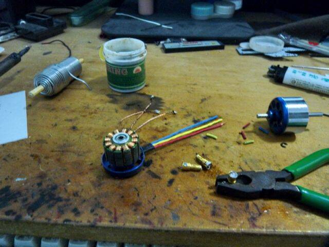 P1010605.jpg