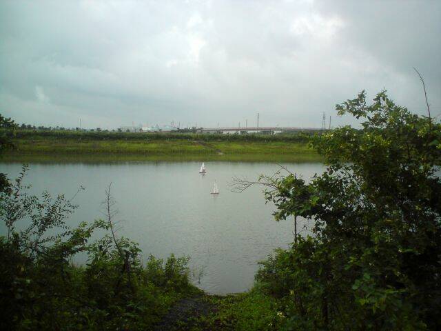 DSC00464.JPG