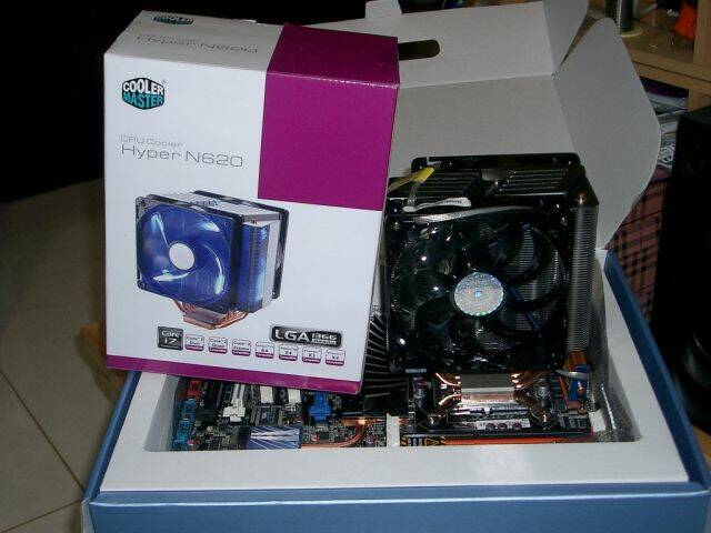 IMGP4090_resize.JPG