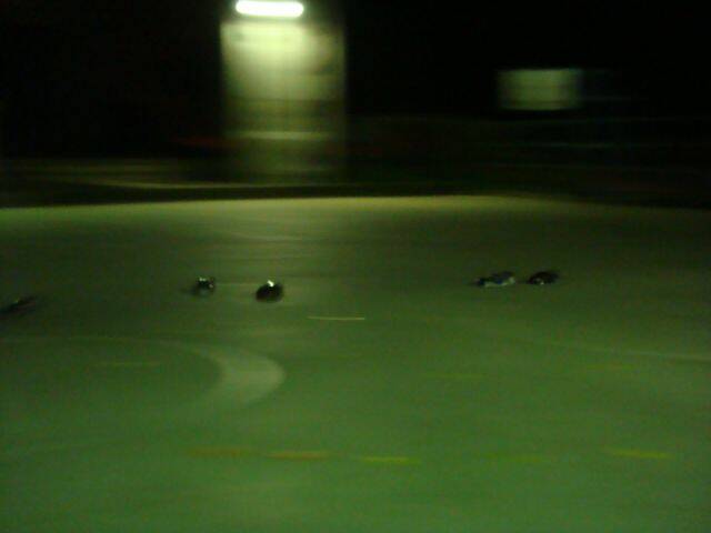 DSC04595.JPG