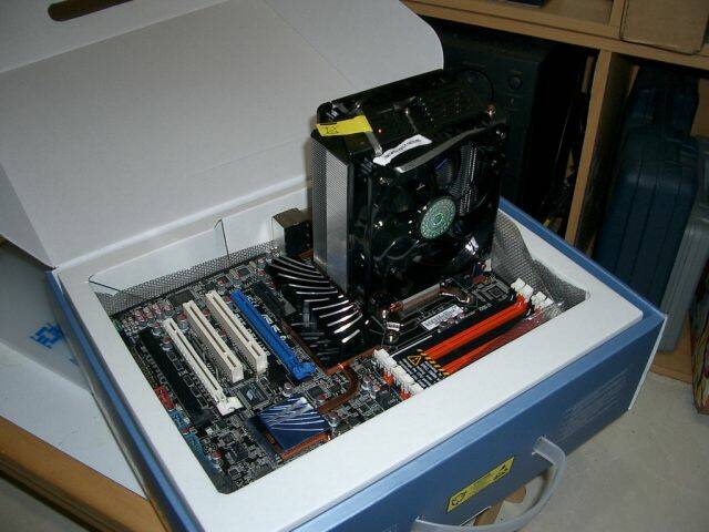 IMGP4088_resize.JPG