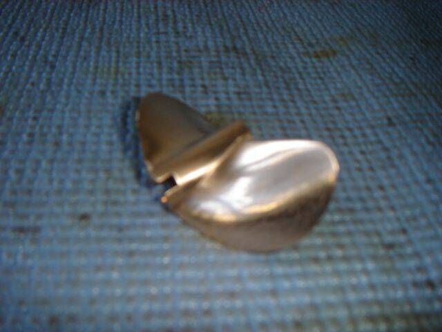 DSC01885.JPG