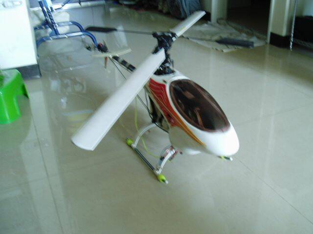 P1010006.JPG