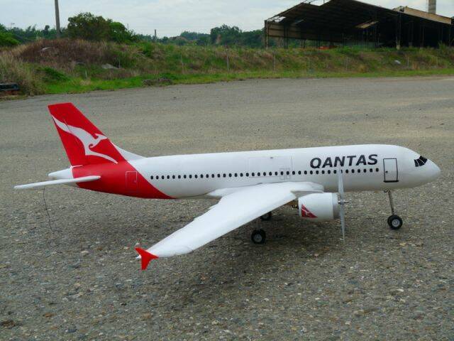 P1010691.jpg