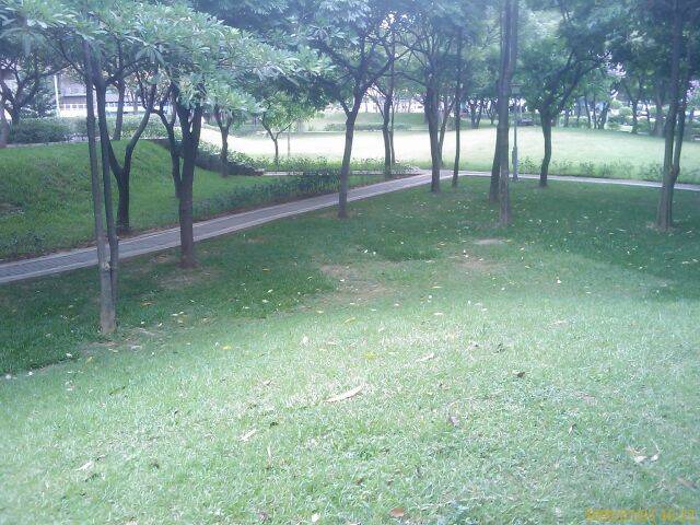 200907031622_026.jpg