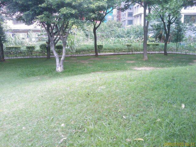 200907031621_025.jpg