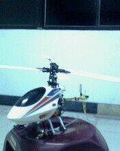 IMG0181A.jpg