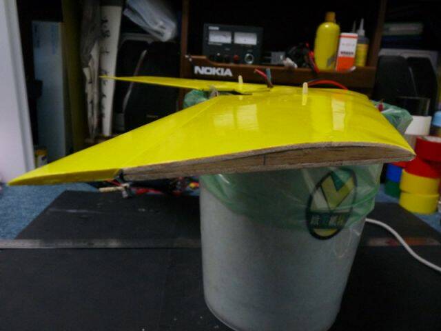 P1010766.jpg