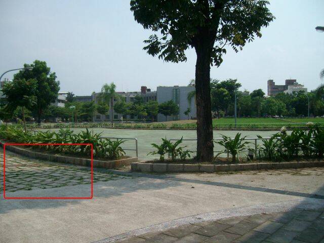 照片 419.jpg