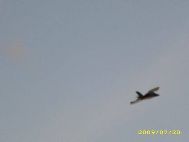 IMG_0482.jpg