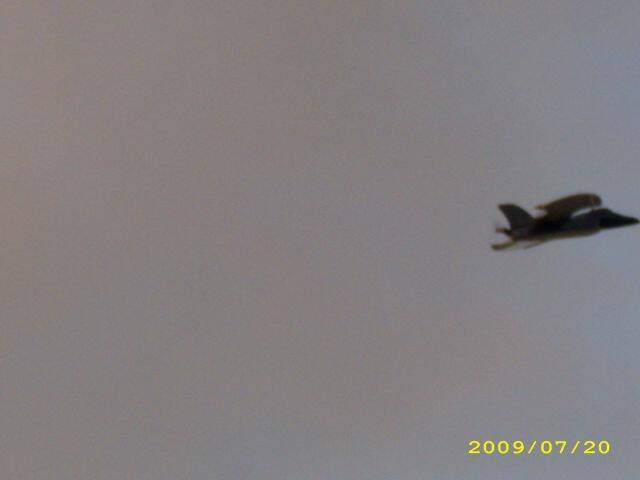 IMG_0487.jpg
