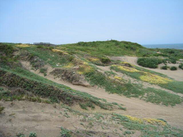 IMG_1702.jpg