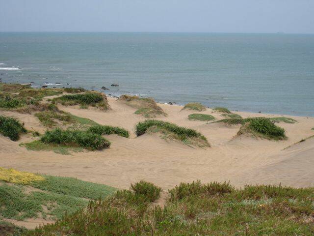 IMG_1700.jpg
