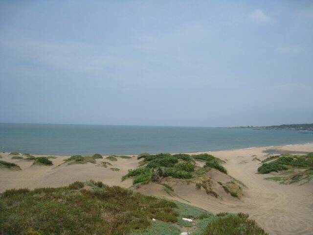 IMG_1699.jpg