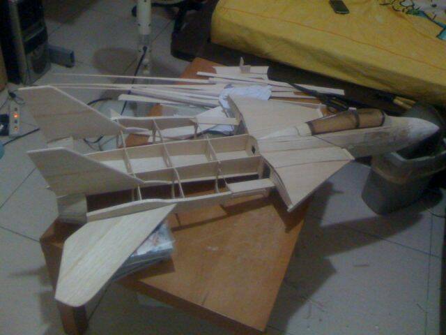 F-14 010.jpg