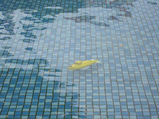 100_7040.JPG