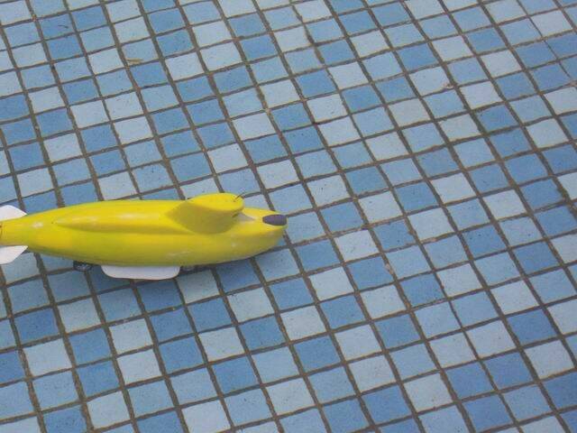 100_7041.JPG