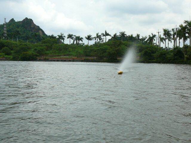 P1100771.JPG