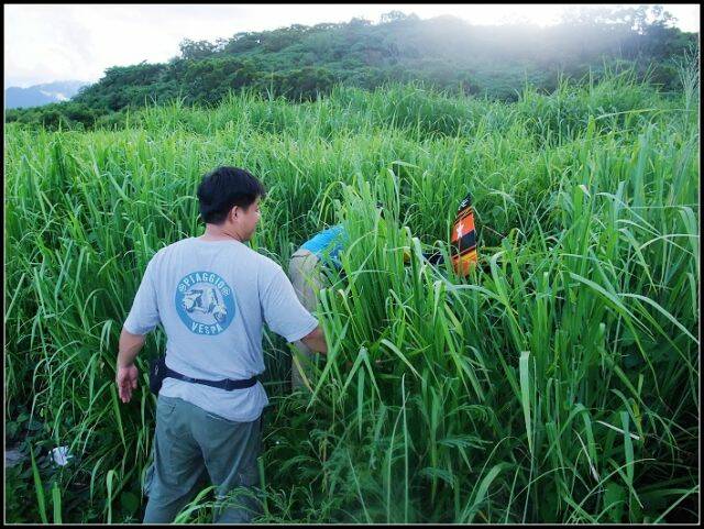 注意看喔 坤勇在偷笑 (計畫成功)