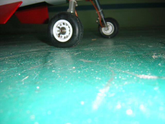 SA501462.JPG