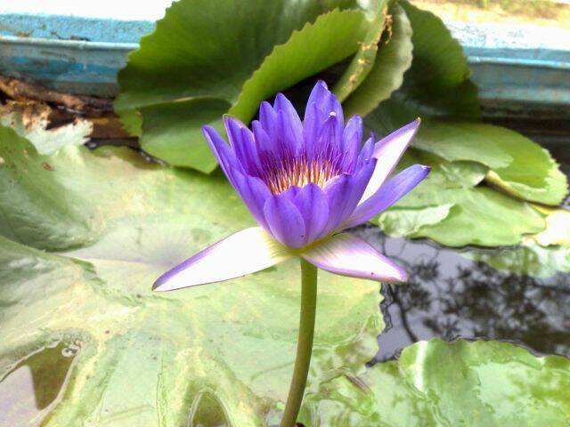 20090801089.jpg
