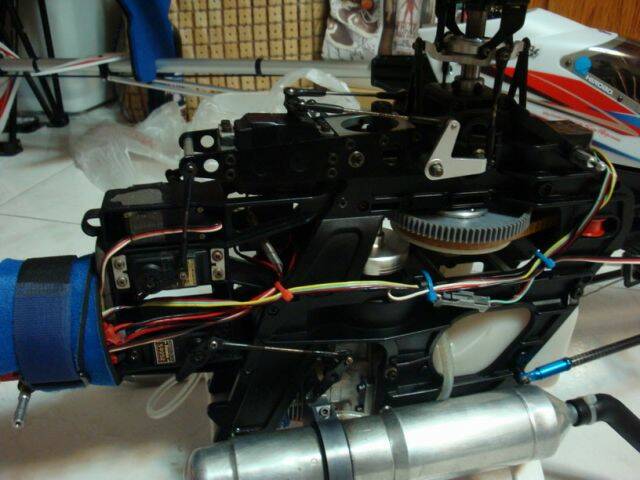 DSC02839_大小.JPG