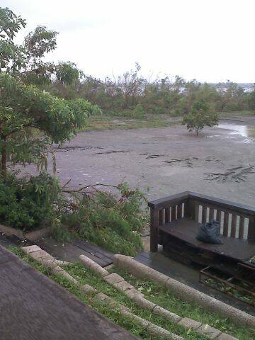 10-08-09_1220.jpg