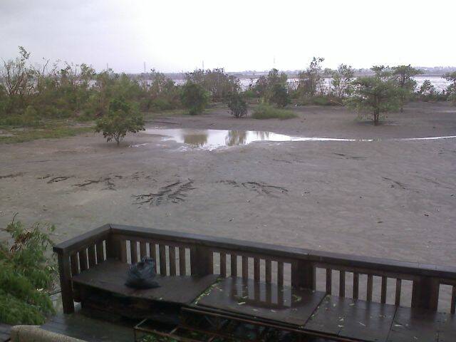 10-08-09_1224.jpg